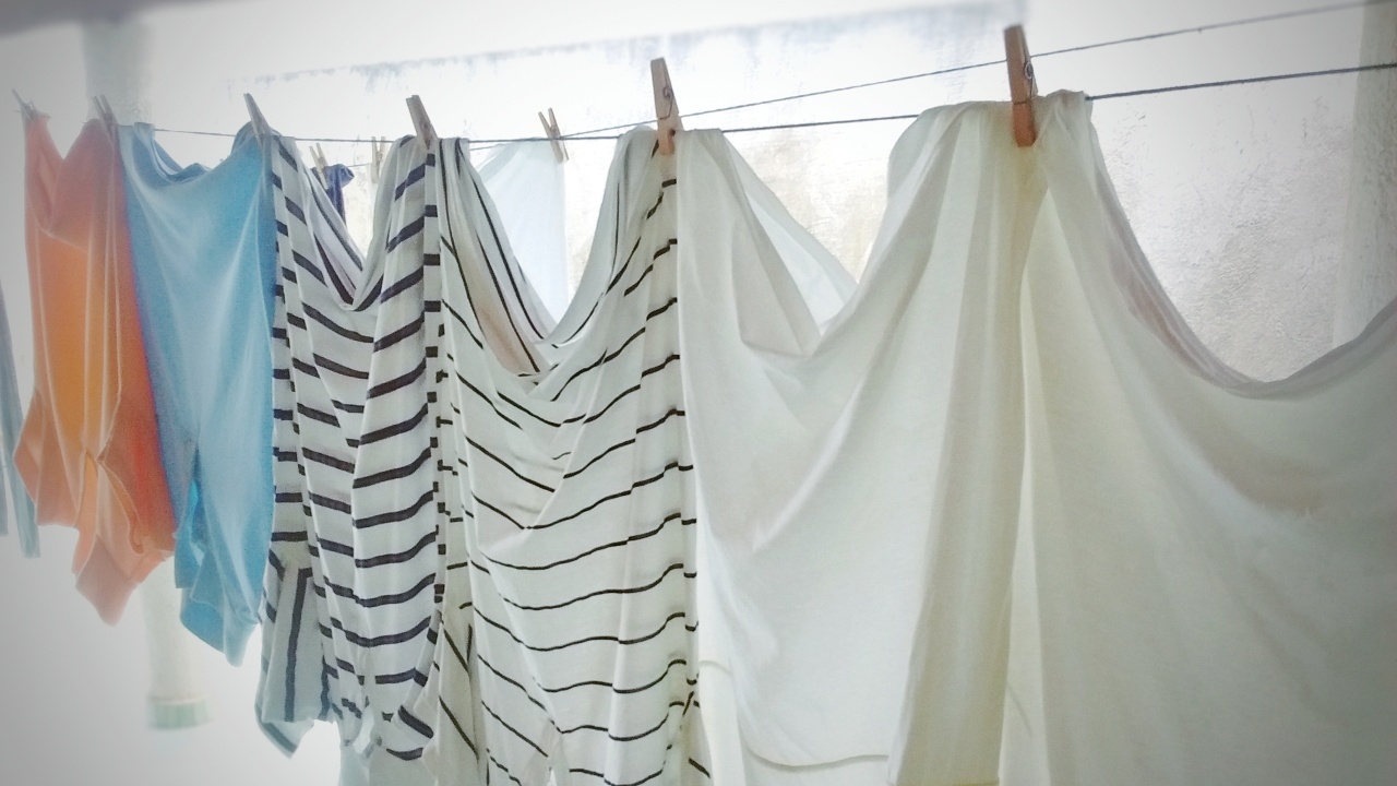 วิธีกำจัด "เชื้อรา" บนเสื้อผ้า-ในบ้าน ช่วงหน้าฝน ลดแหล่งสะสมเชื้อโรค