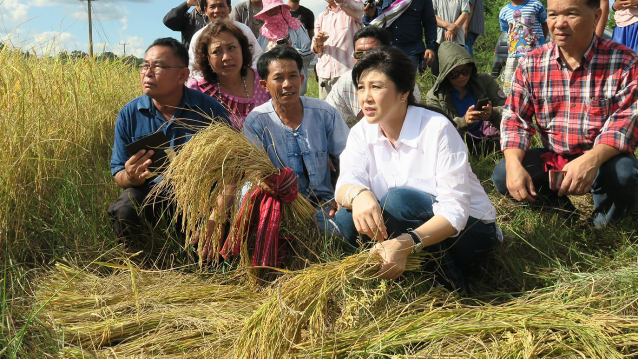 “ยิ่งลักษณ์” อัดรัฐบาลล้มเหลวแก้ปัญหาให้ชาวนา เสียดายโอกาสสมัยเป็นนายกฯ