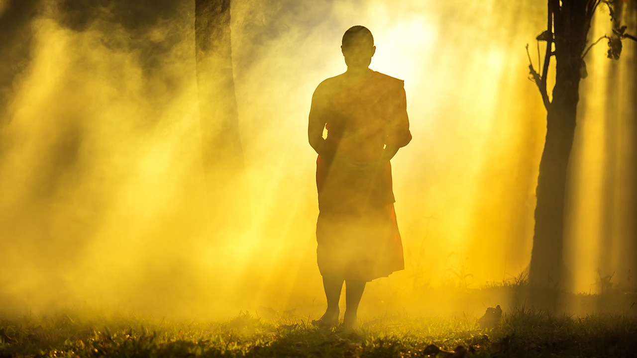 นี่ก็! ทางออก