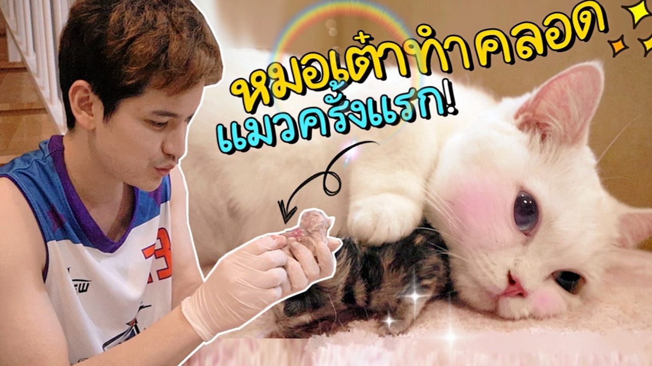 “เต๋า เศรษฐพงศ์” ปังสุดขีด! ช่องยูทูบ “ติดเต๋า” ทะลุ 1 ล้าน Subscribe
