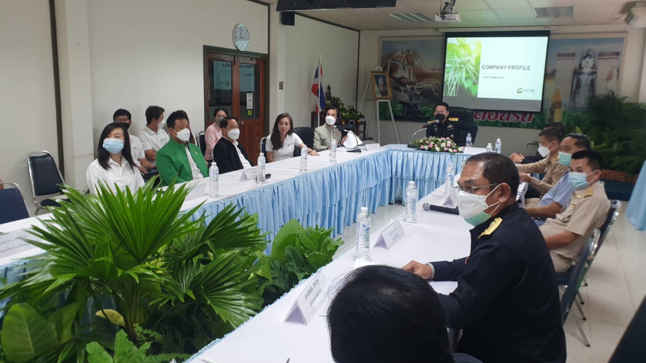 เร่งติดตามเงินชดเชยชาวไร่ยาสูบ หาแนวทางปลูกพืชทดแทนช่วยเกษตรกร