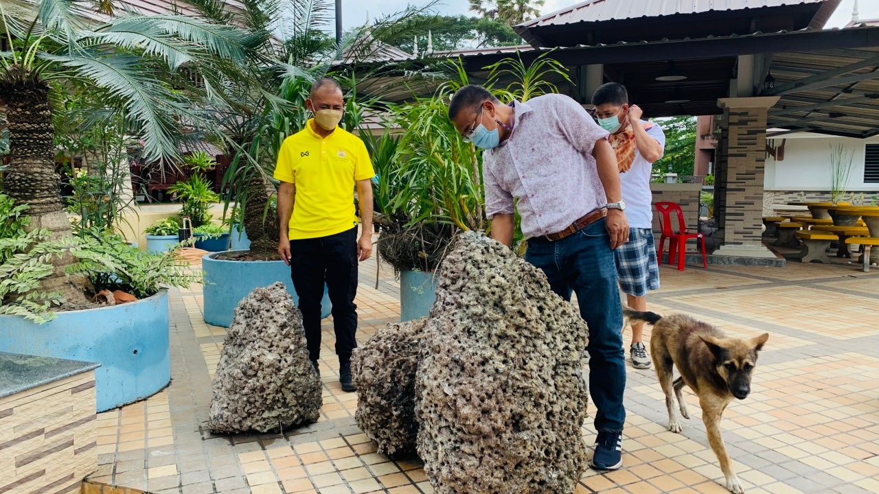 พบ "คตปลวกยักษ์" ธาตุศักดิ์สิทธิ์ ของดีหายาก เกจิดังจ่อทำพิธีขลัง (คลิป)