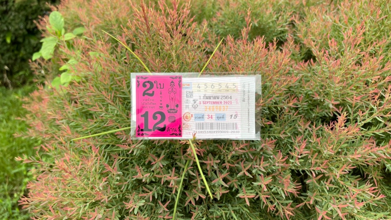 10 อันดับ "เลขเด็ด" ขายดีงวด 1/9/64 พ่อค้าลอตเตอรี่บอก "เลขดัง" หมดแล้ว