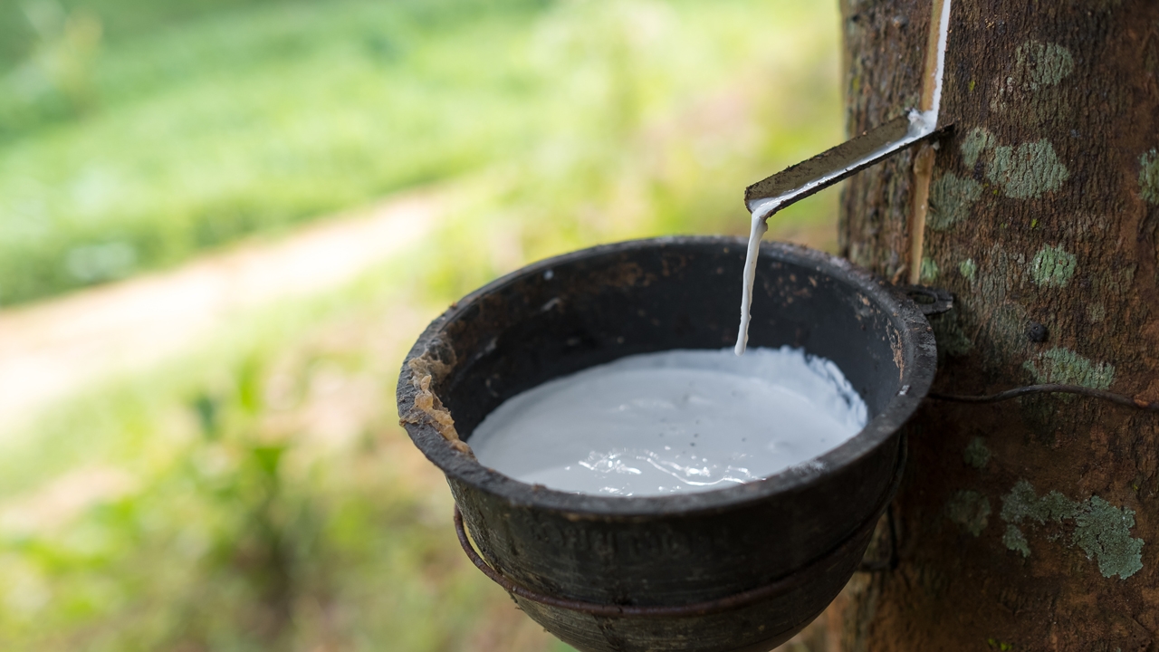 กยท.ถ่ายทอดงานวิจัยสู่เอกชน เพิ่มการใช้ยางพาราในประเทศ