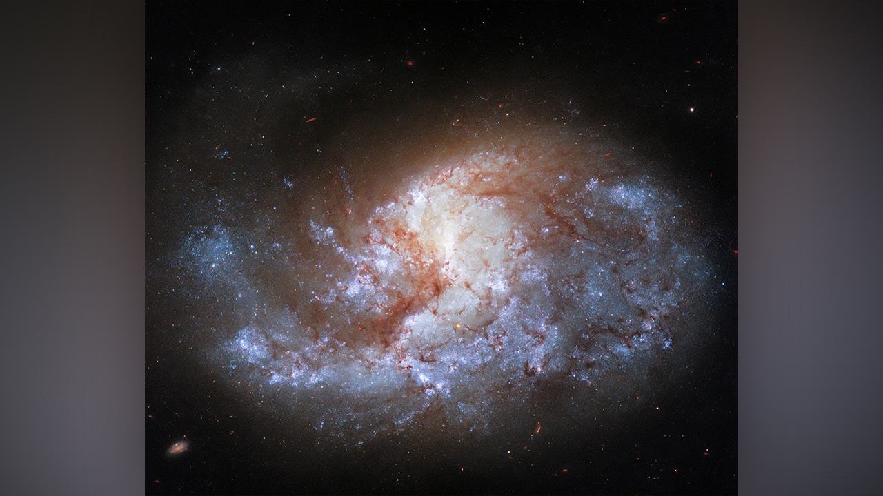 กล้องโทรทรรศน์อวกาศฮับเบิลส่องกาแล็กซี ในกลุ่มดาวเตาหลอม