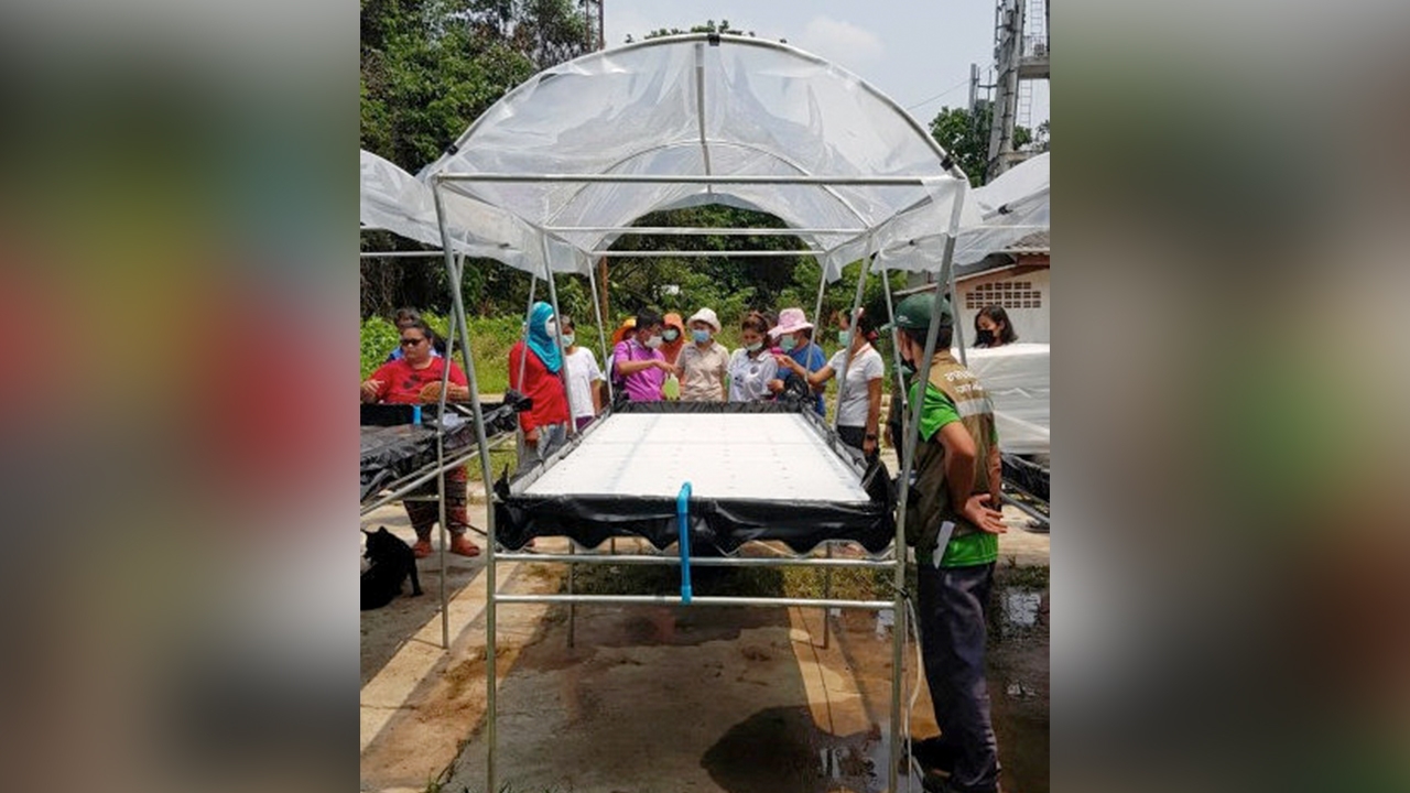 DRFT..งานวิจัยสู่ชุมชน