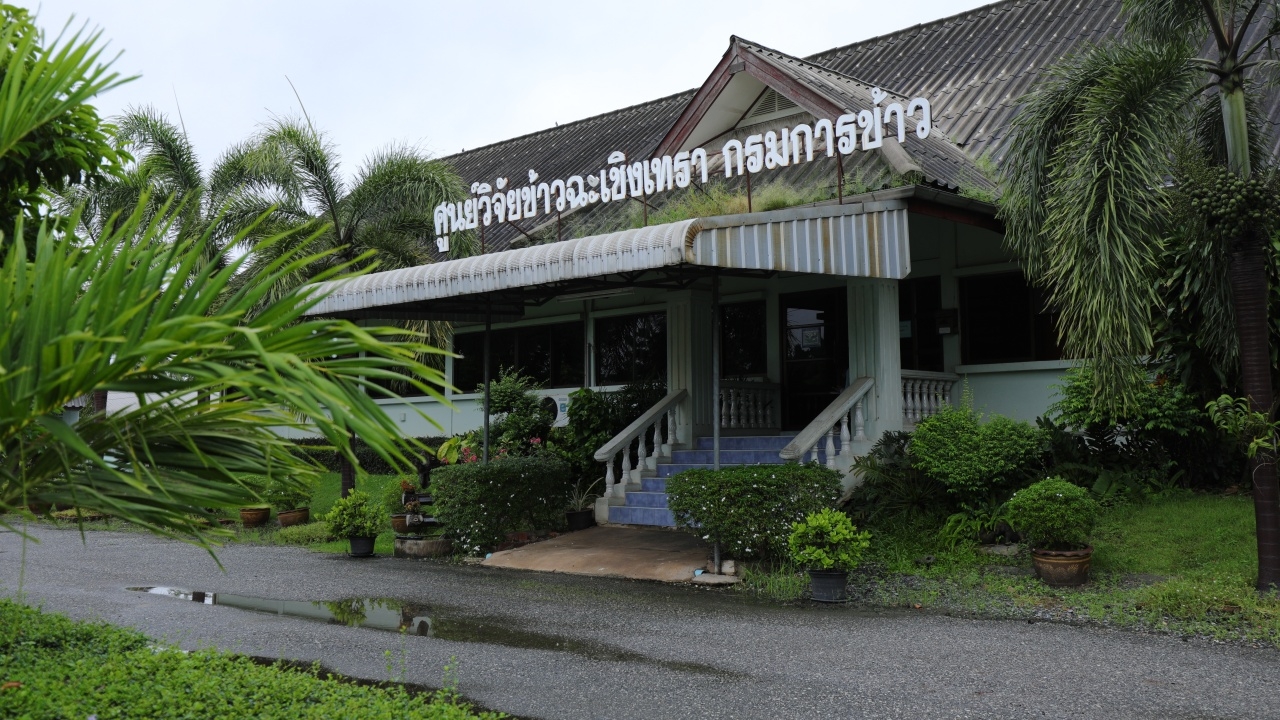 ศูนย์ฯข้าวฉะเชิงเทรา เร่งนำเมล็ดพันธุ์ข้าวช่วยเกษตรนาแปลงใหญ่โพรงอากาศ