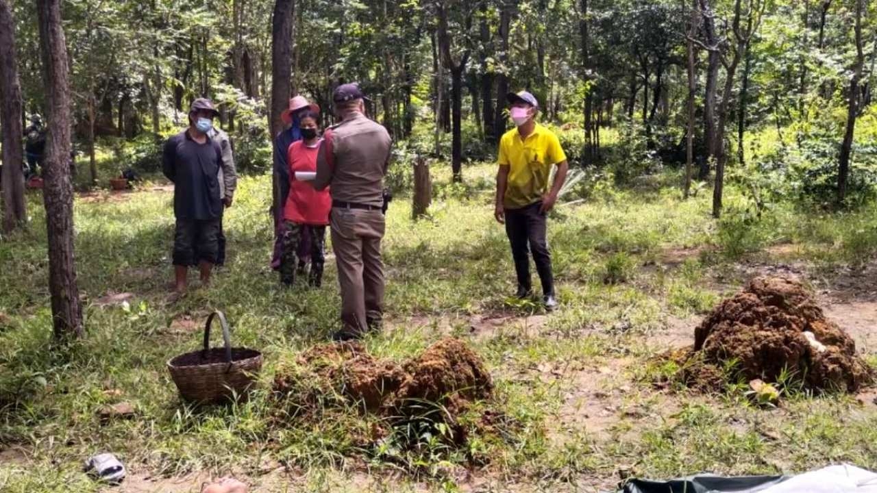 ลุงโคราชตายปริศนาบนเขาที่วังน้ำเขียว พบแผลที่ศีรษะ ยังไม่ฟันปมเสียชีวิต