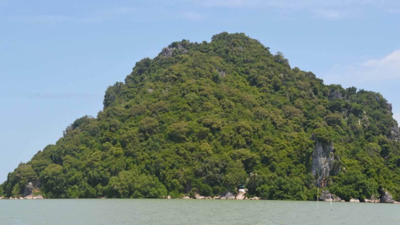 ดีเอสไอตรวจเกาะรังนกพัทลุง บริษัทโอดได้รังนกน้อย พบซากลูกนกเกลื่อนพื้น 