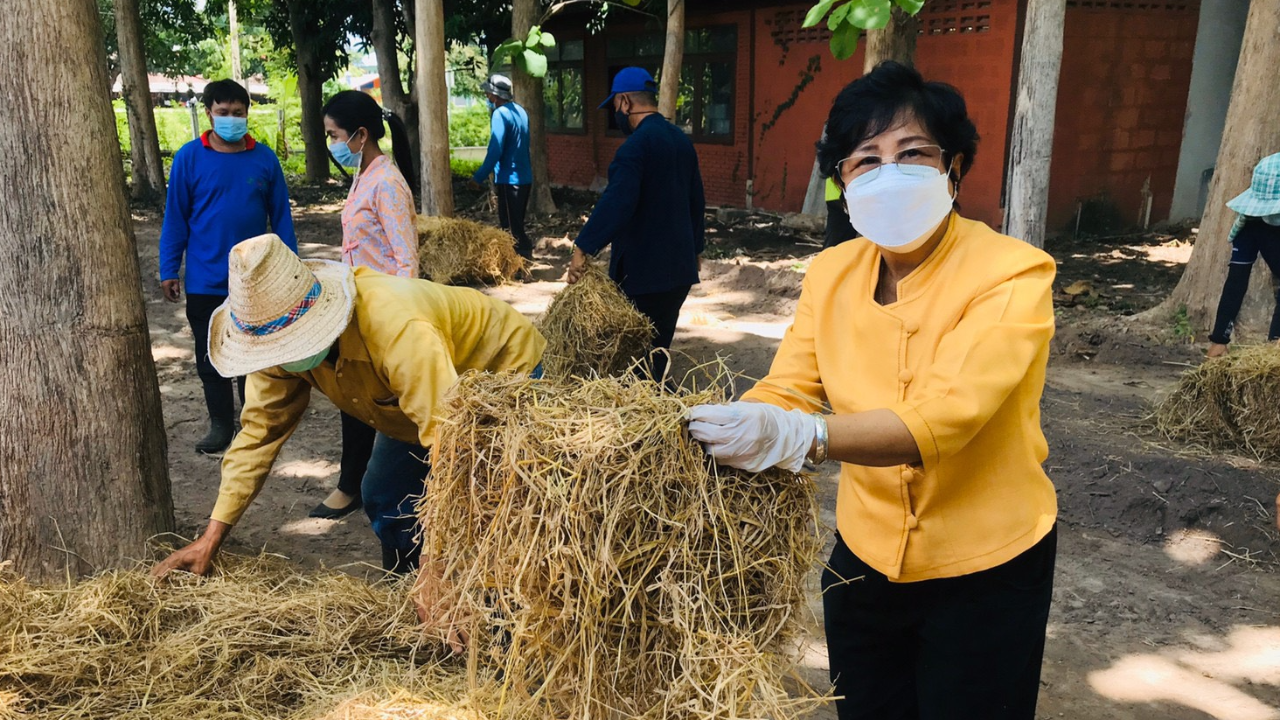 ศพช. ลำปาง ชวนปลูกพืชสมุนไพรไทย เสริมภูมิคุ้มกันต้านโควิด-19