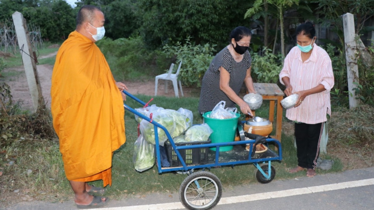 พระอ่างทองผุดไอเดียปันสุขสู้โควิด ปลูกผักสดในวัด แจกญาติโยมตอนบิณฑบาต (คลิป)