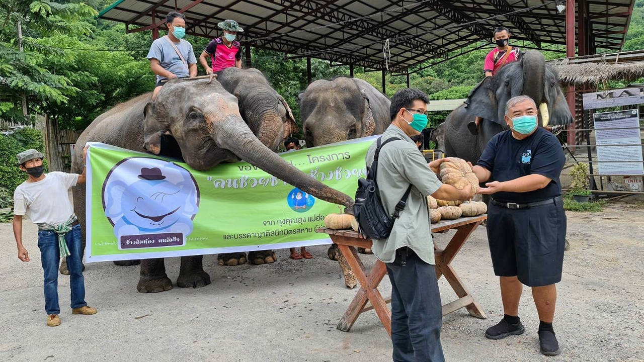 โครงการคนช่วยช้าง ช้างช่วยคน ต่อชีวิตคนและช้างอย่างยั่งยืน