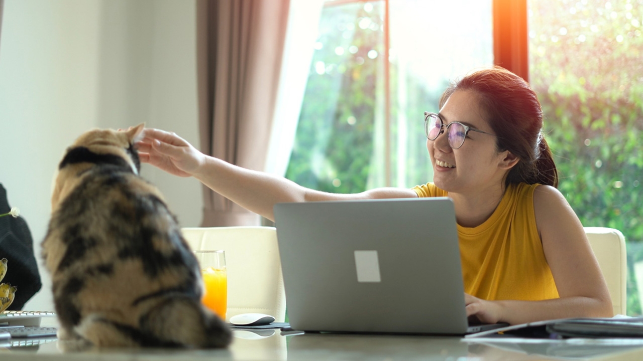 จัดบ้านต้อนรับ WFH ฮวงจุ้ยโต๊ะทำงาน ผลงานเด่นกระแทกตาหัวหน้า