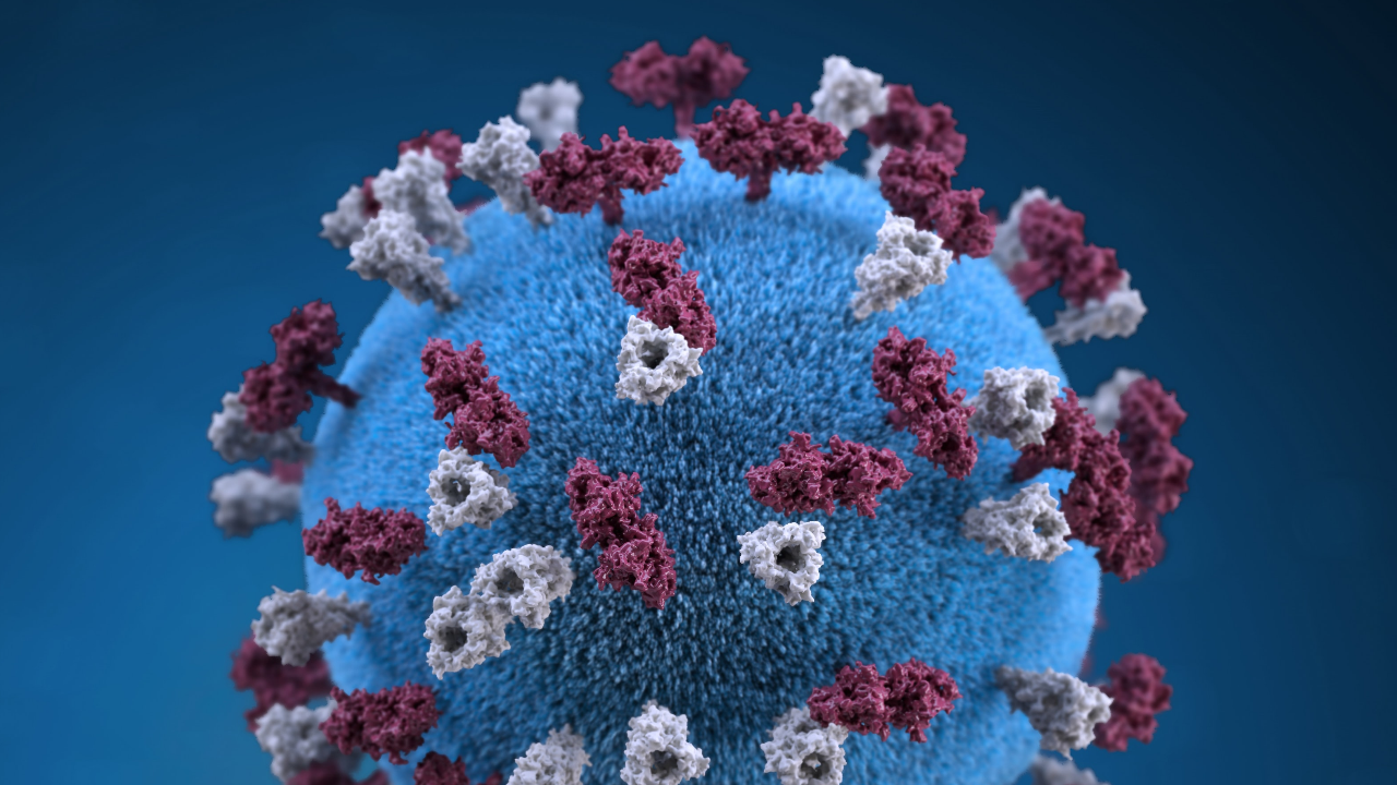 โควิดวันนี้ 5/6/64 พบผู้ติดเชื้อรายใหม่ 2,817 ราย เสียชีวิตเพิ่ม 36 ศพ