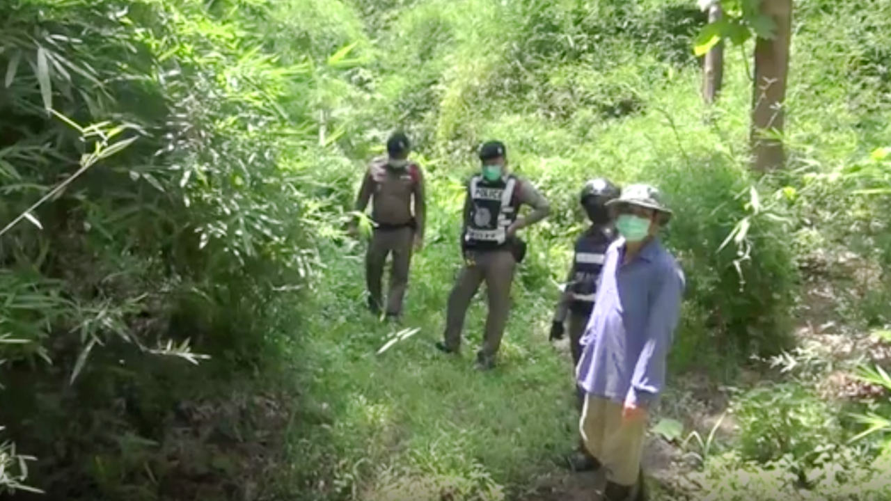 ผงะ พบกะโหลกคนโผล่ ท้ายป่าสวนร้าง 2 ผัวเมียหาหน่อไม้ โร่แจ้งตำรวจ