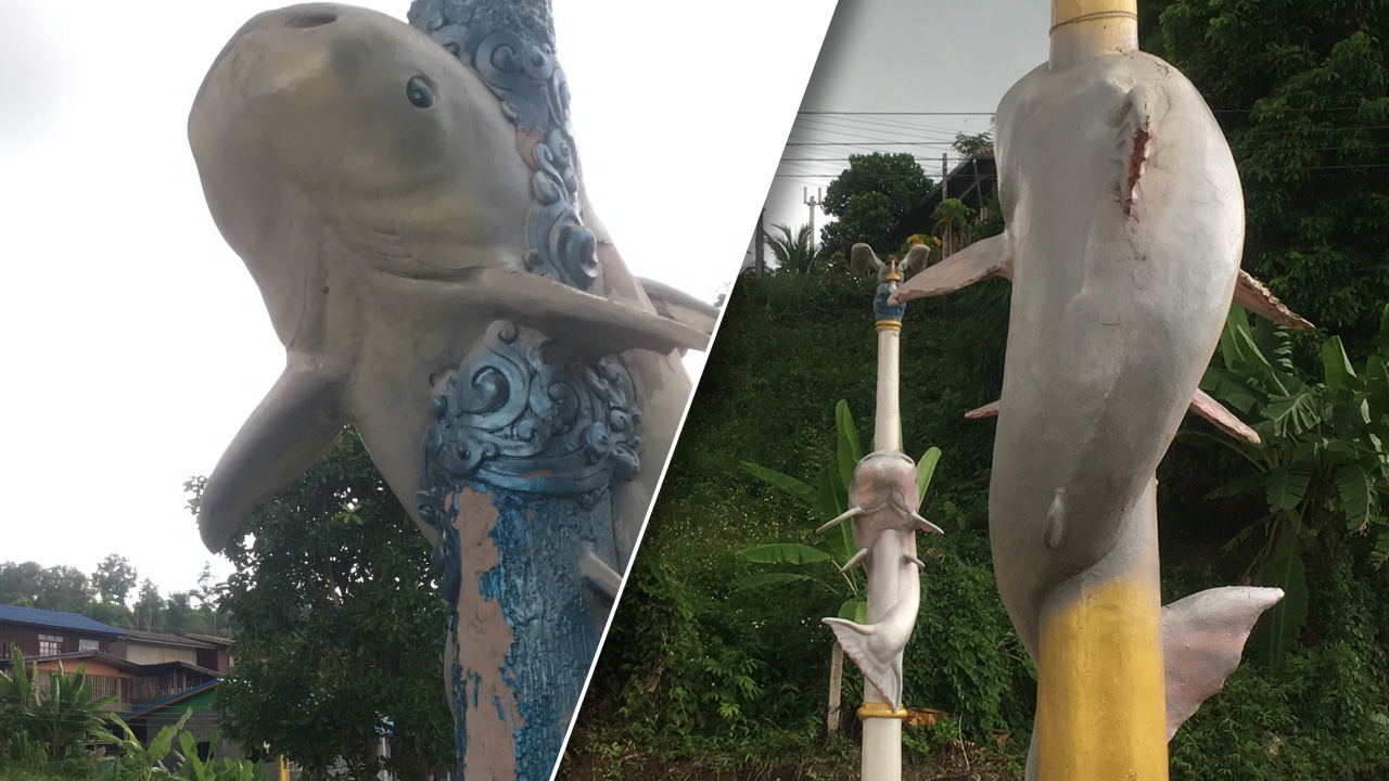  โผล่อีกโครงการสุดบรรเจิด ประติมากรรมโคมไฟ ปลาบึกเสียบไม้ย่าง