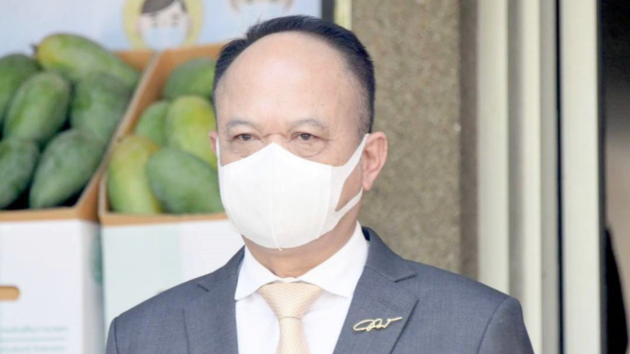 สบช่องสมุนไพรไทยตลาดบูม หนุนเกษตรกรปลูกสร้างรายได้ ช่วงวิกฤติโควิดฯ