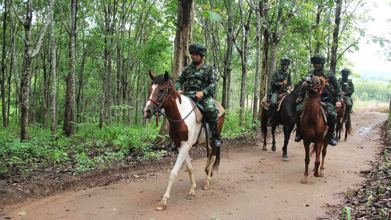ทหารไทยขี่ม้าตรวจริมน้ำเมย สกัดลักลอบเข้าเมืองตามตะเข็บชายแดน จ.ตาก