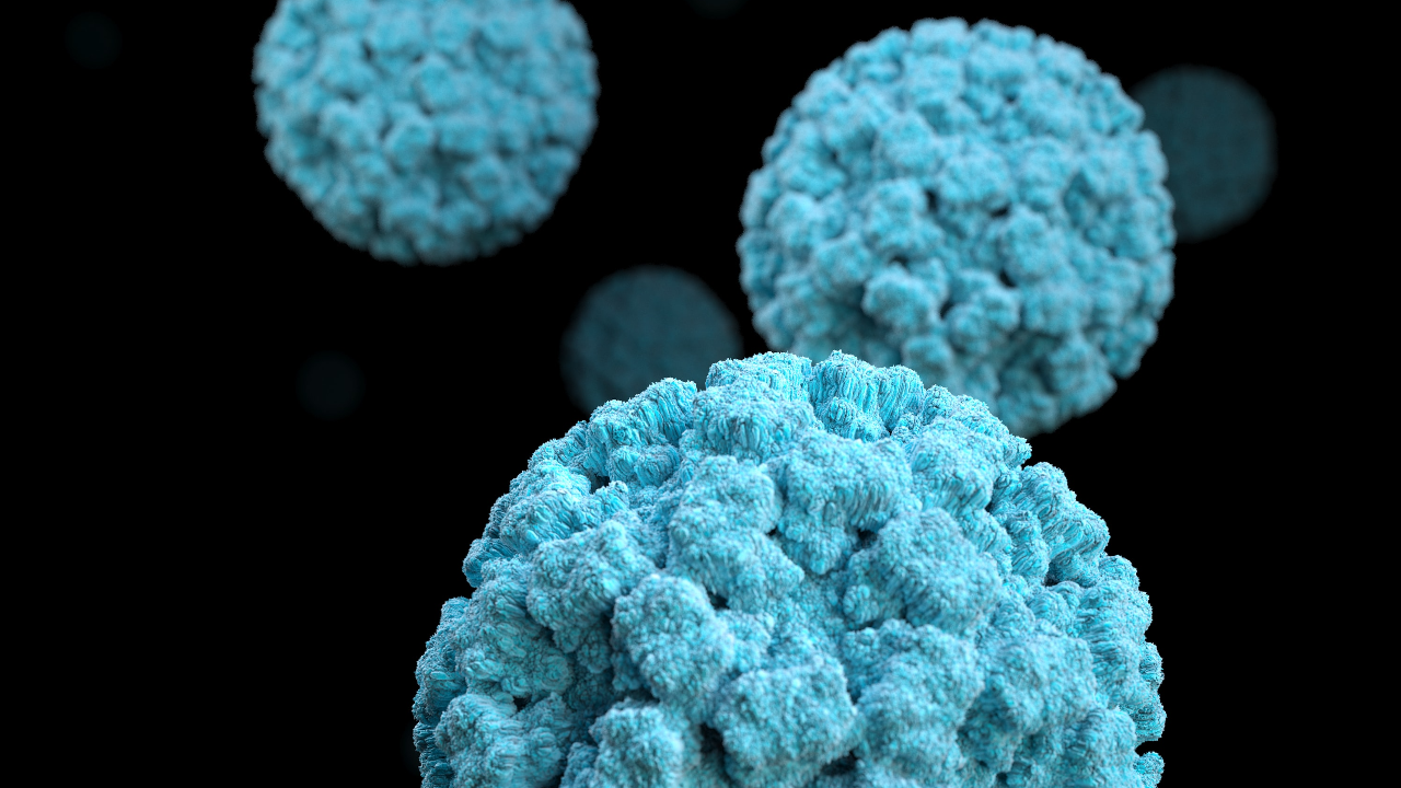 โควิดวันนี้ 11/6/64 พบผู้ติดเชื้อรายใหม่ 2,290 ราย เสียชีวิตเพิ่ม 27 ศพ