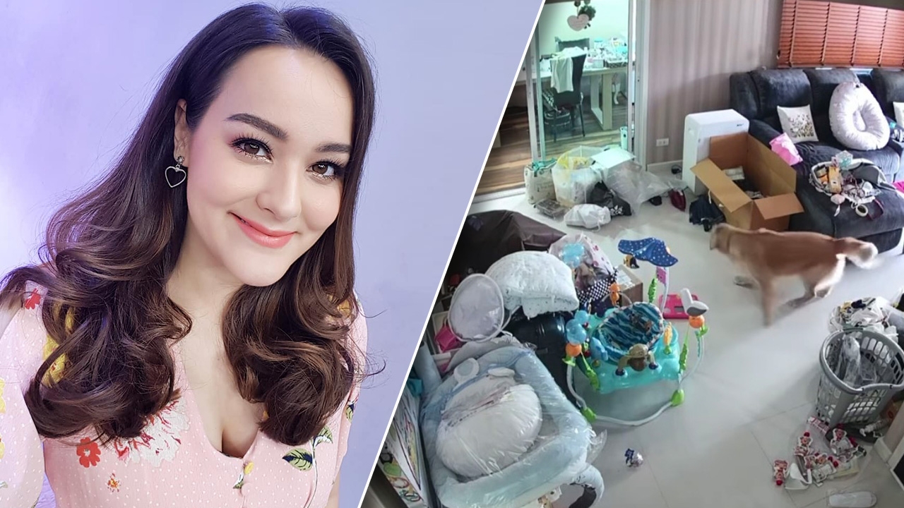 นาตาลี เดวิส เคืองหมาคนข้างบ้านทำเดือดร้อน ลั่นเจ้าของต้องรับผิดชอบ (คลิป)