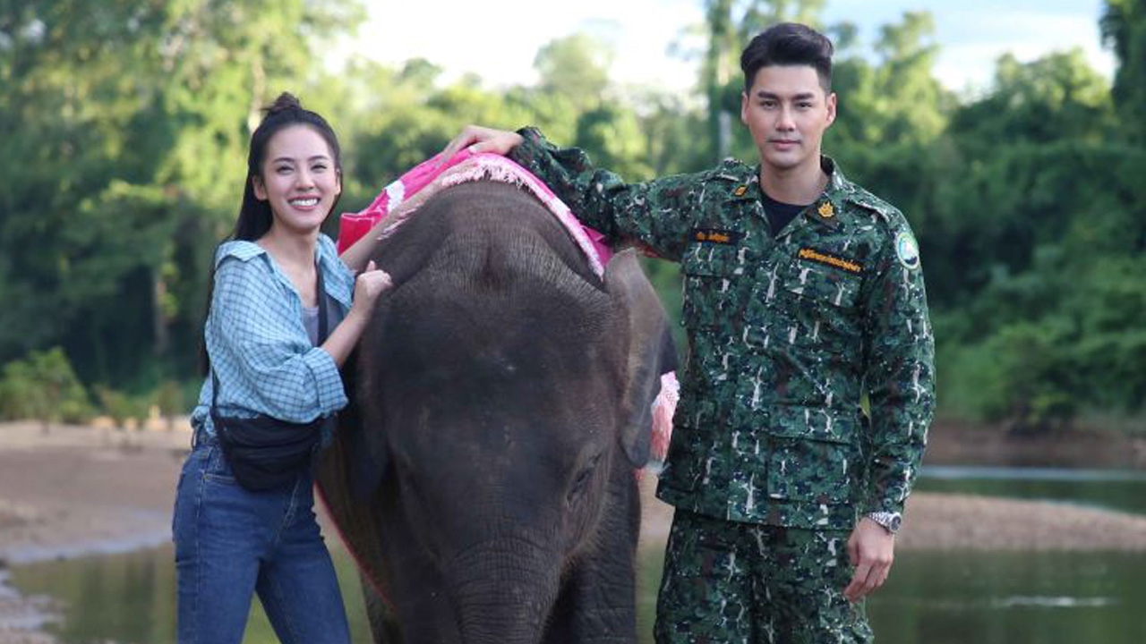 “แก่นแก้ว” กระแสแรงเกินคาด สนุกสนานครบรส สอดแทรกแนวอนุรักษ์ธรรมชาติ