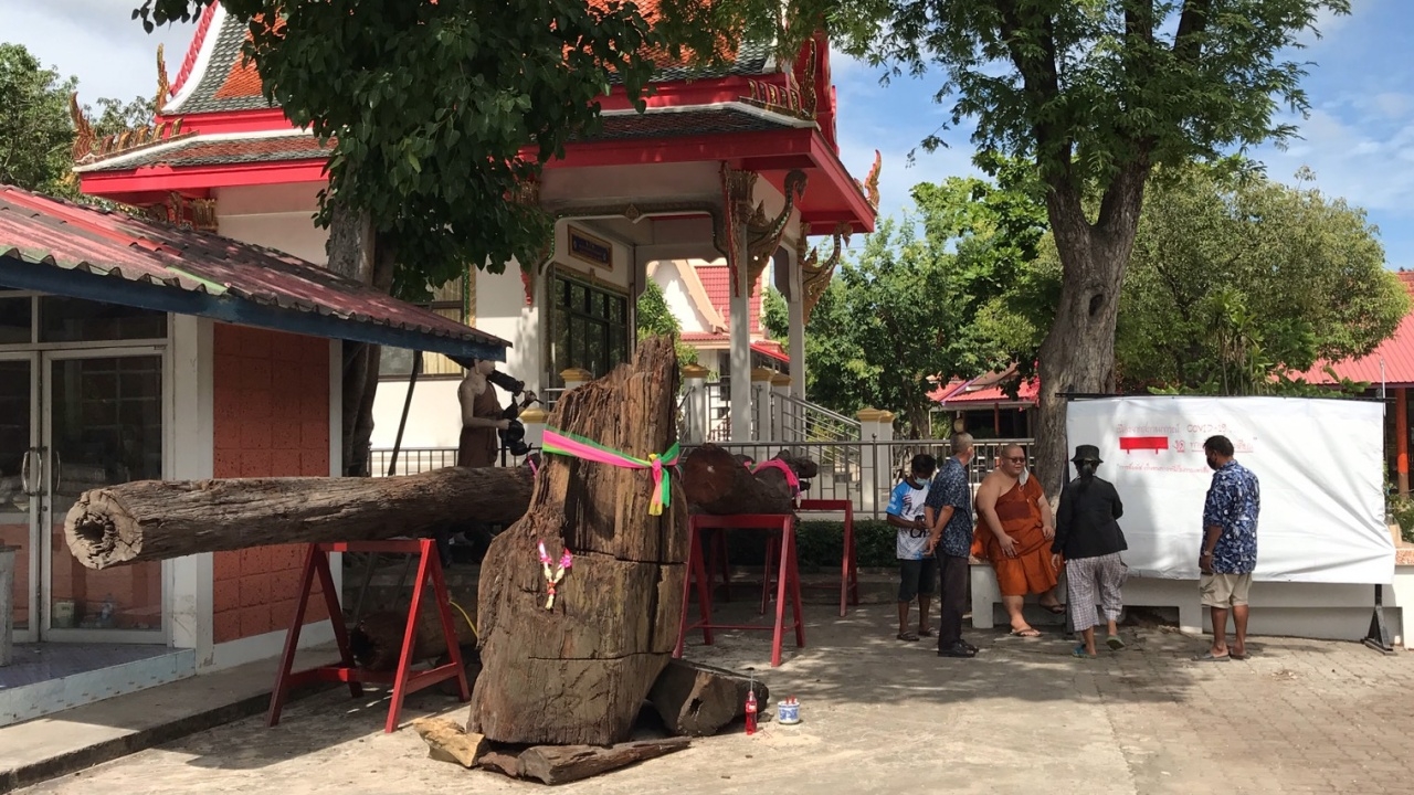 ผวาอาถรรพณ์ "ไม้ตะเคียน" อดีตผู้ใหญ่บ้านเสียชีวิต หลังถูกทักเก็บไว้อาจมีอันเป็นไป