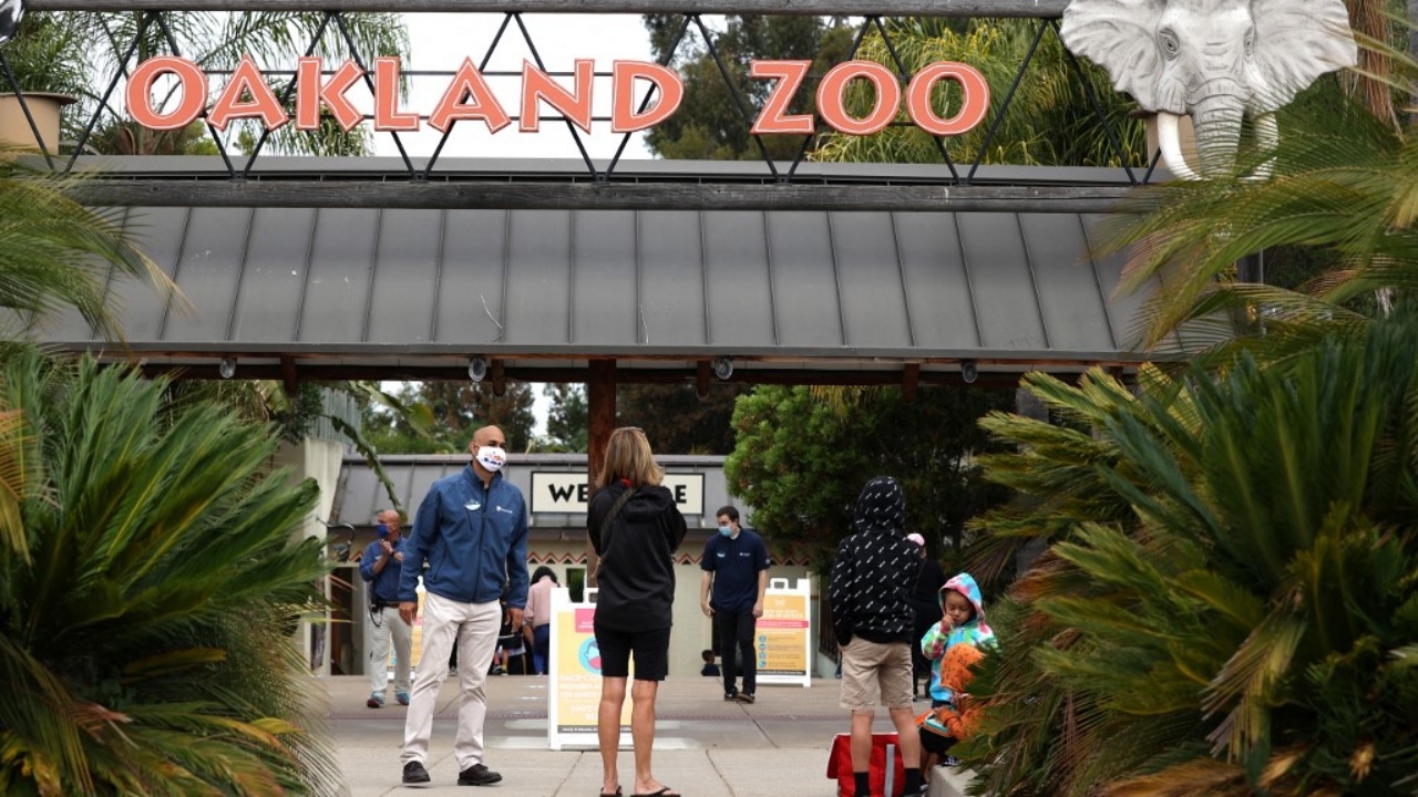 แซงหน้าคน สวนสัตว์สหรัฐฯ ฉีดวัคซีนโควิดให้สัตว์แล้ว