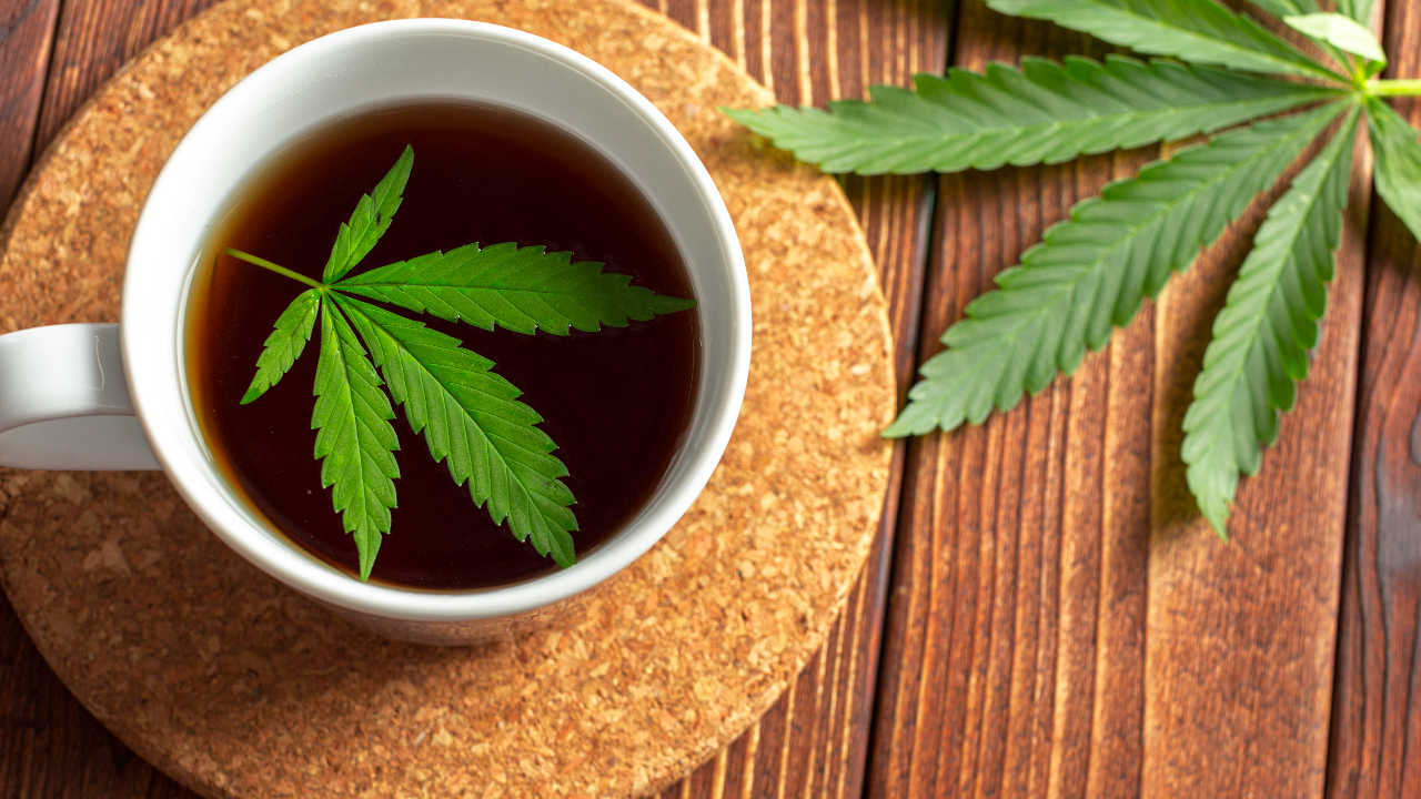 รู้จัก "ชากัญชง" เครื่องดื่มเพื่อสุขภาพ มีประโยชน์อย่างไร?