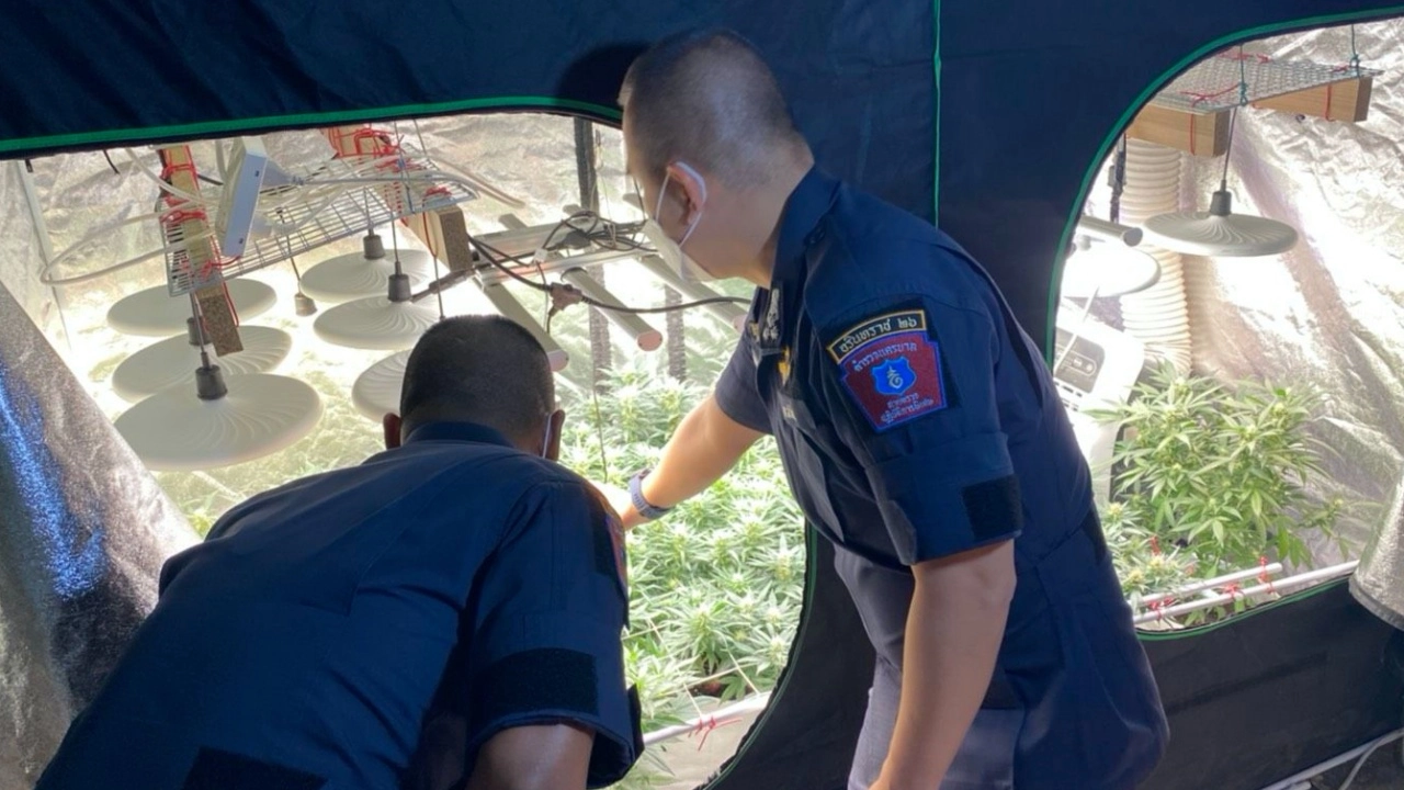 จับ 2 หนุ่มสายเขียว ใช้ห้องพักเป็นแปลงปลูกกัญชา อ้างรักษาโรค