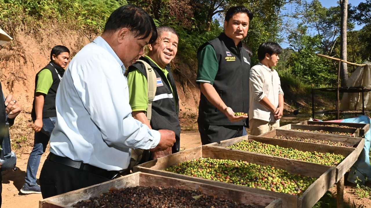 อธิบดีกรมวิชาการเกษตร ขึ้นเหนือตามโครงการประกวด สุดยอดกาแฟไทย 2566