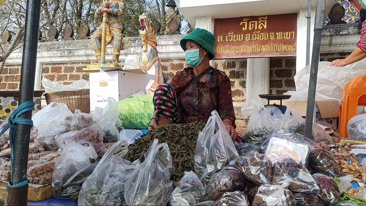 ชาวบ้านพะเยา นำ "ส้มป่อย" ไม้มงคลเดือน 5 ออกขาย ราคางาม 1 ปีมี 1 ครั้ง