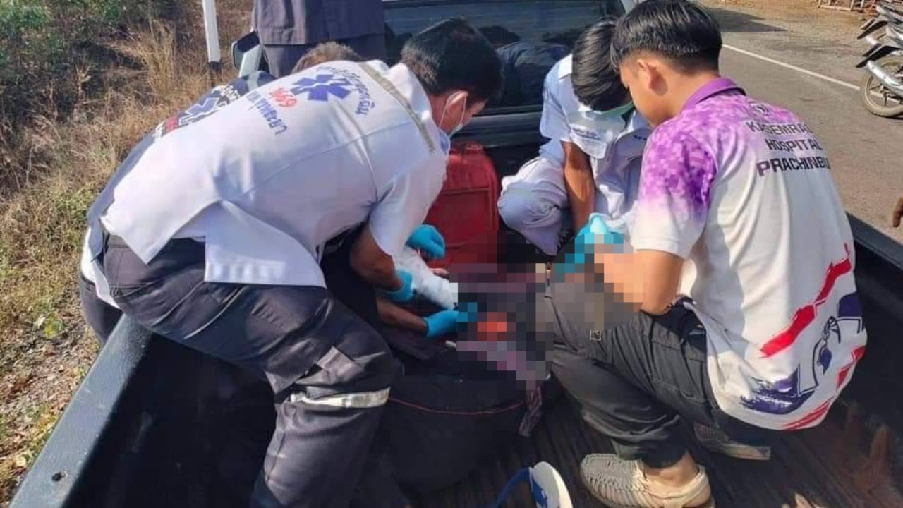 ช้างป่าบุกกระทืบ คุณยายแรงงานเมียนมา ที่มาตัดอ้อยที่สนามชัยเขตเจ็บสาหัส