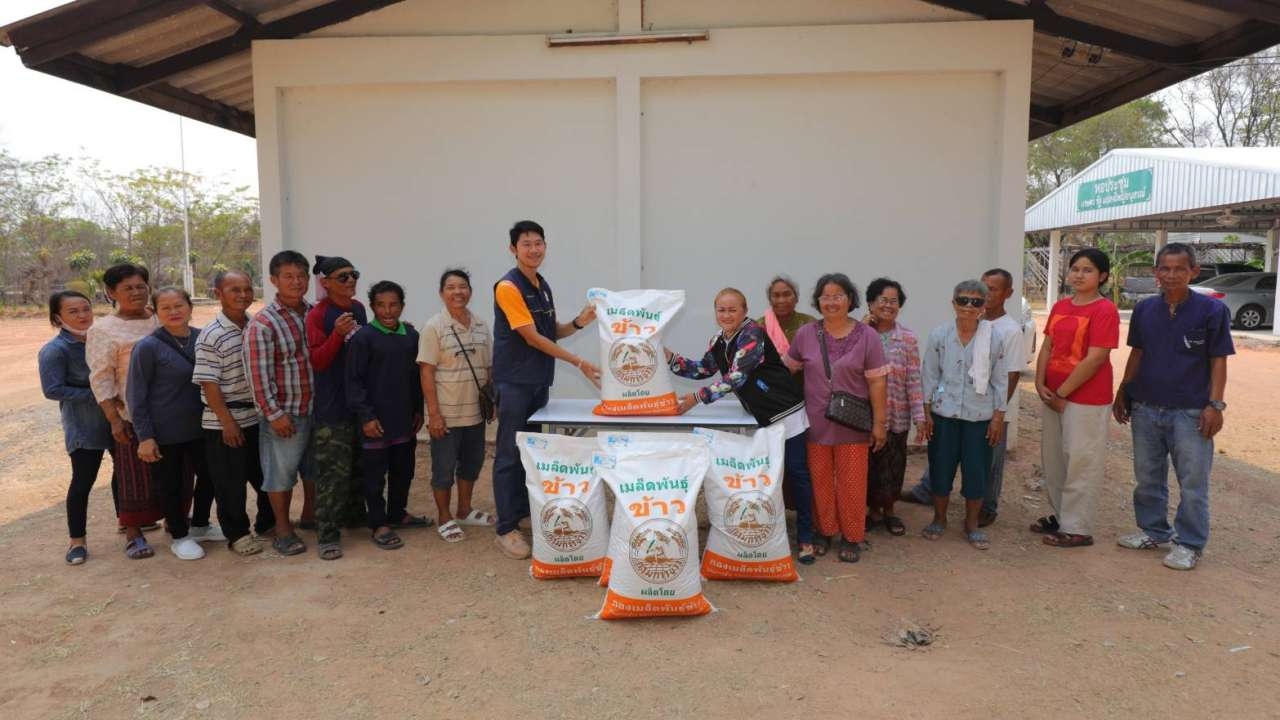 ศูนย์ข้าวขอนแก่น เฮ กรมข้าวหนุนเมล็ดพันธุ์ข้าวคุณภาพดีช่วยเกษตรกร