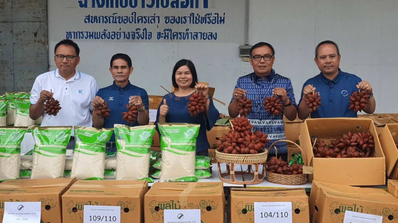 สหกรณ์ฯ กระสัง นำข้าวหอมมะลิ 105 แลกกับ สละพันธุ์สุมาลีของดี อ.คลองหอยโข่ง