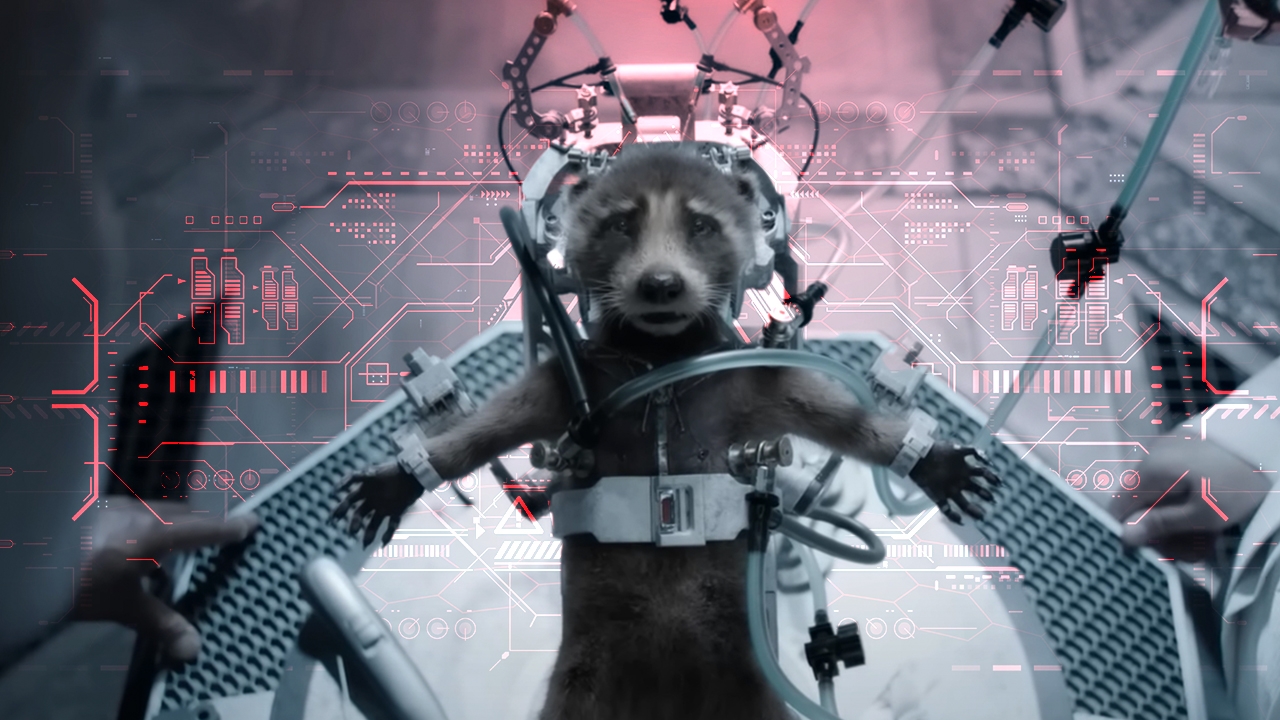 “ร็อกเก็ต” ใน Guardians of the Galaxy กับโลกความจริงของ “สัตว์ทดลอง”  