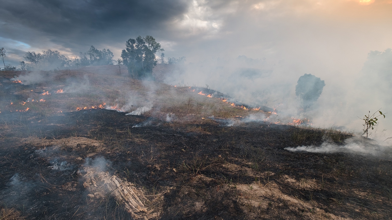 ถอดบทเรียนฝุ่นข้ามแดน ชนวนเผาหนักสุดรอบ 9 ปี