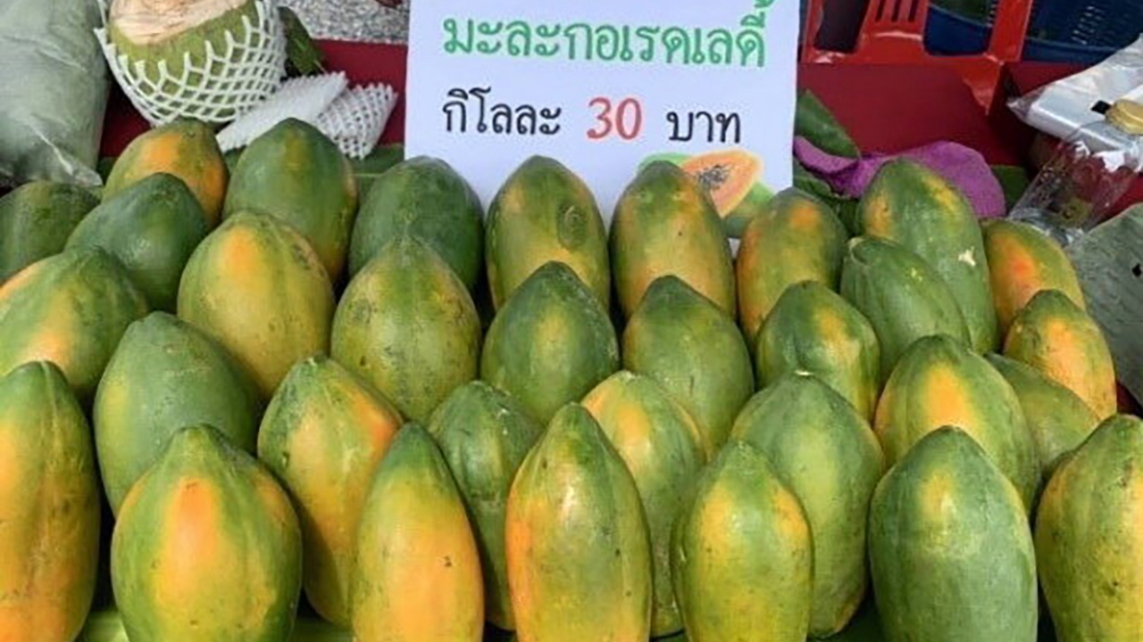 เกษตรกรอินทรีย์ดีเด่นแห่งชาติ จุดเริ่มจากอาหารปลอดภัย