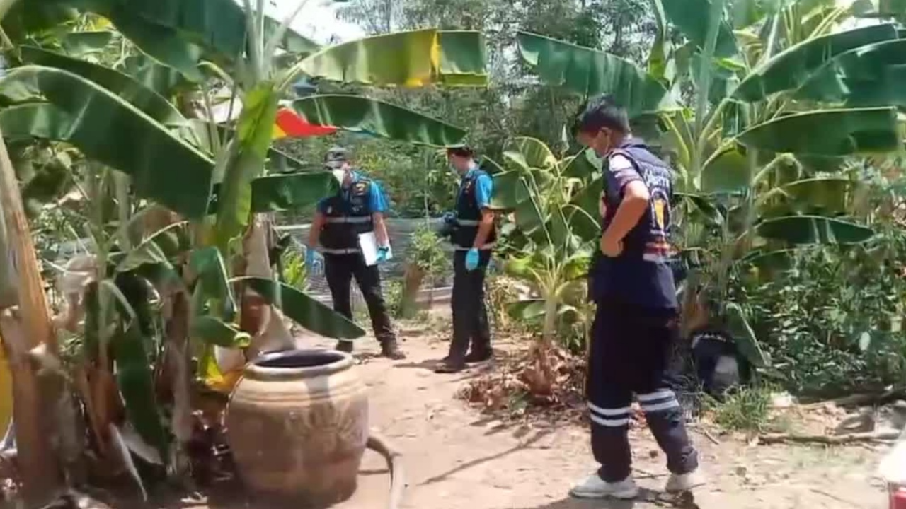 แค้นกีดขวางความรัก หลานสาว 14 กับแฟนวัย 15 ร่วมฆ่ายาย ฟันตายในป่ากล้วย 