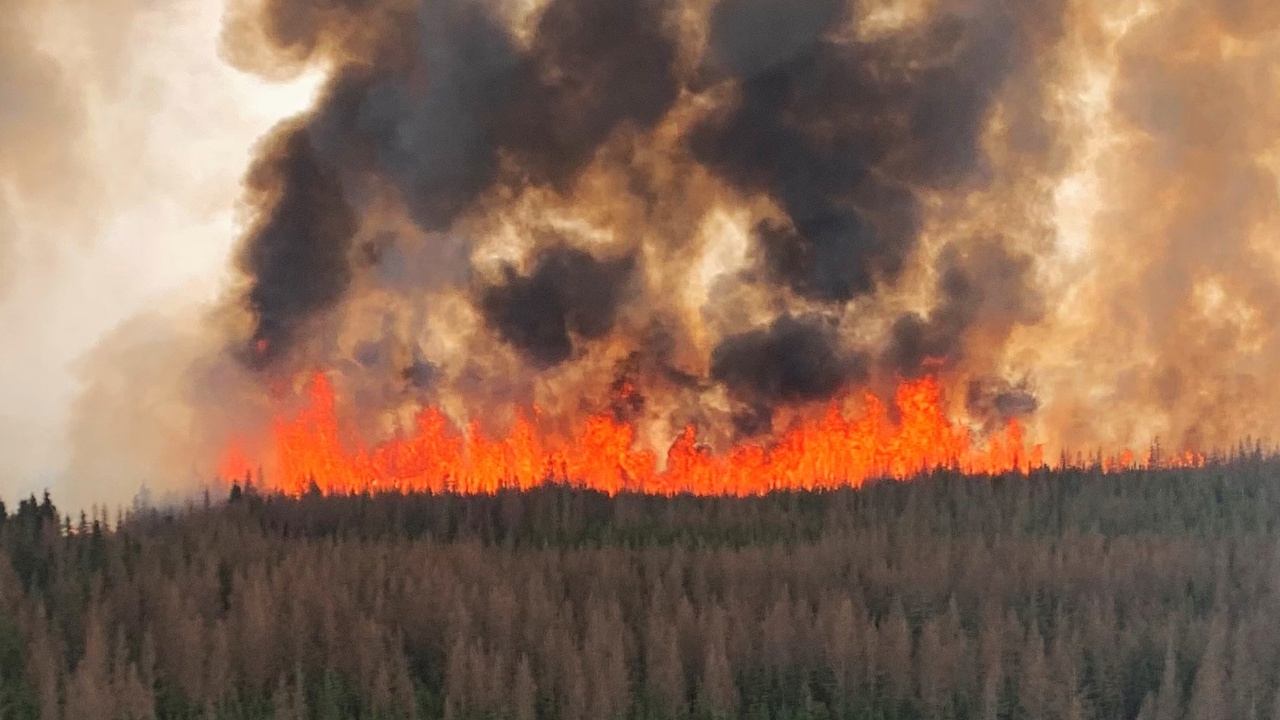 แคนาดาประกาศสถานการณ์ฉุกเฉินไฟป่า เผาวอด 7 แสนไร่