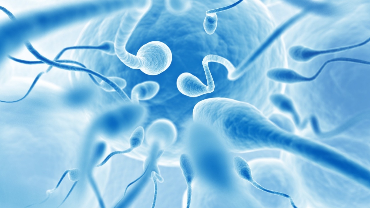 ชายเนเธอร์แลนด์ถูกสั่งหยุดบริจาคสเปิร์ม หลังเป็นพ่อของเด็ก 500-600 คน