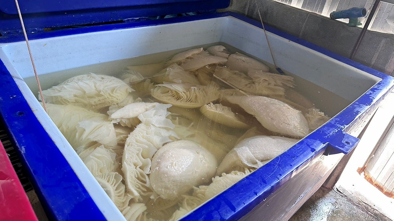 ผงะอาหารสด แช่ฟอร์มาลิน ปศุสัตว์ลุยจับ โรงงานทำส่งร้านหมูกระทะ