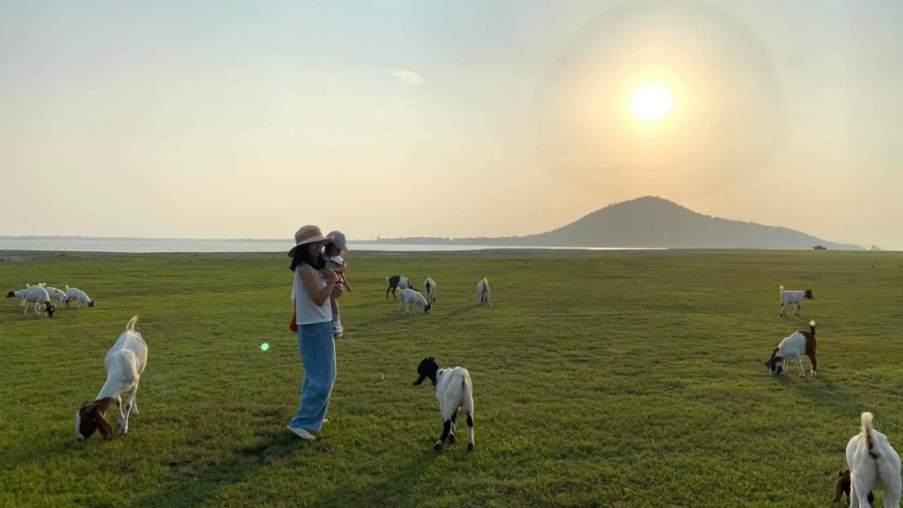 วันหยุดหนีกรุง เที่ยวเขื่อนป่าสักชลสิทธิ์ กางเต็นท์ชมวิวกลางทุ่งหญ้าและฝูงแพะ
