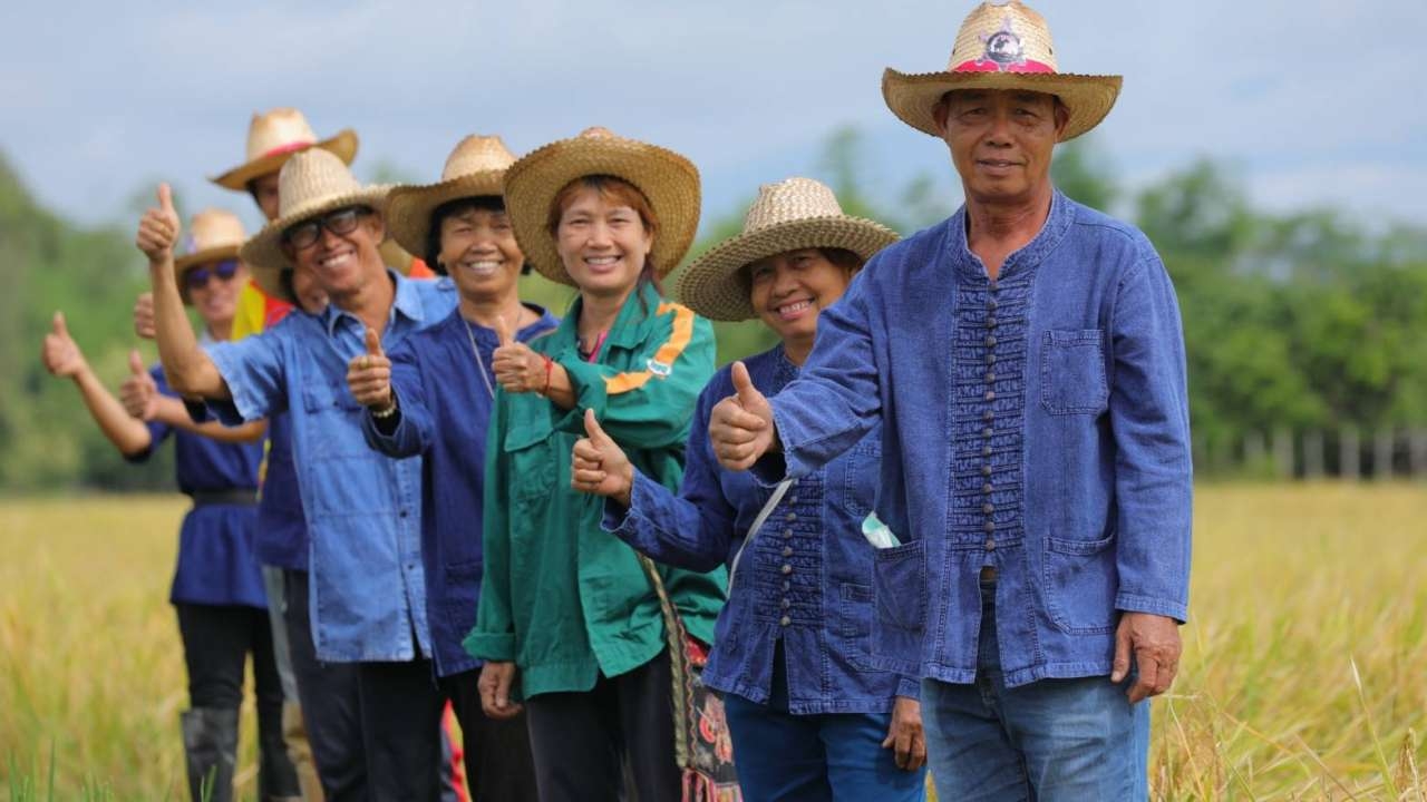 ก.เกษตรฯ กำชับใช้เทคโนโลยีนวัตกรรมสมัยใหม่ช่วยชาวนา ลดต้นทุนปลูกข้าว