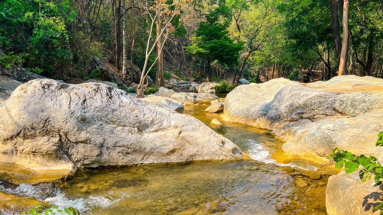 อุทยานฯ ลานสาง ประกาศปิดการท่องเที่ยว 1 มิ.ย.-31 ส.ค. 66 ฟื้นฟูธรรมชาติ