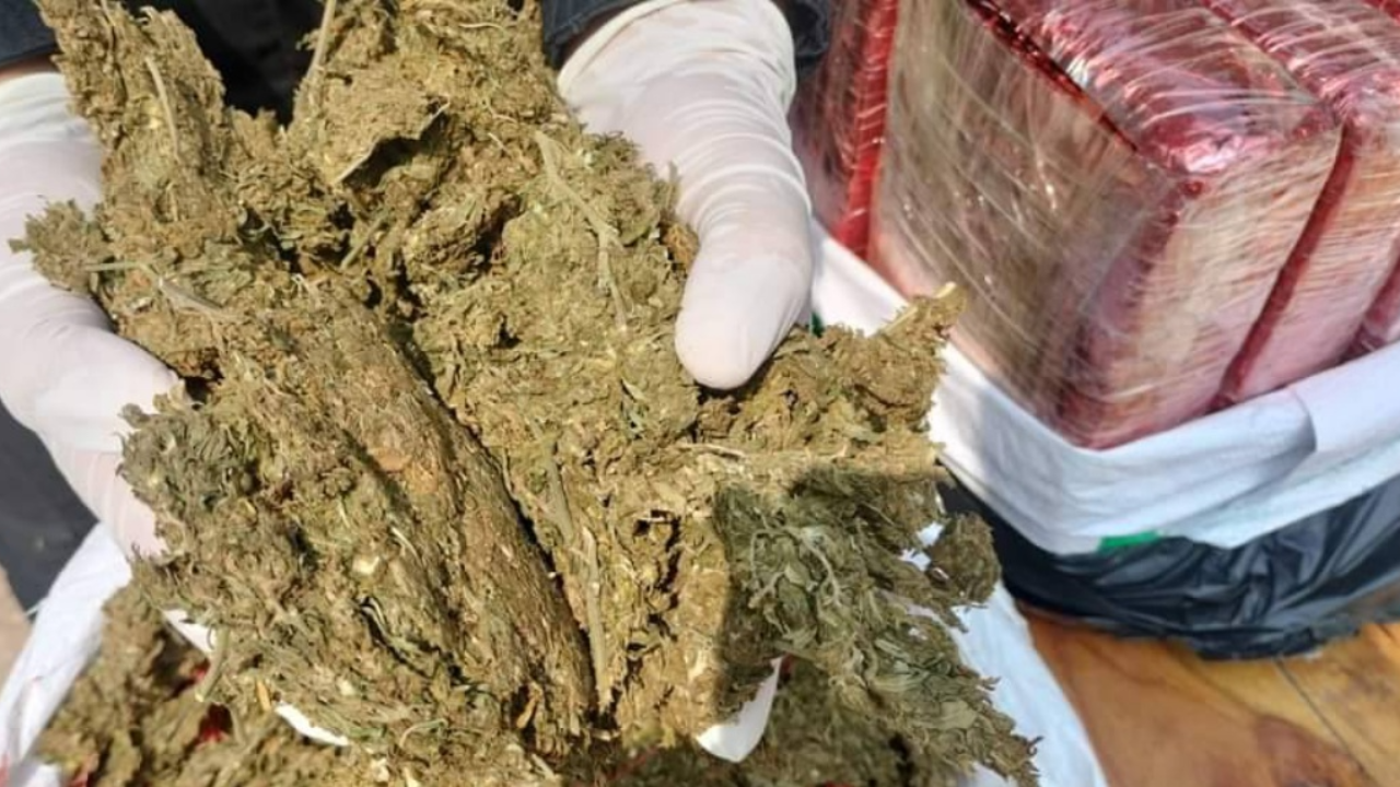  ทะลักไม่หยุดช่อดอกกัญชา นำเข้ามาสวมสิทธิ ทหารพรานยึดกว่า 120 กก.