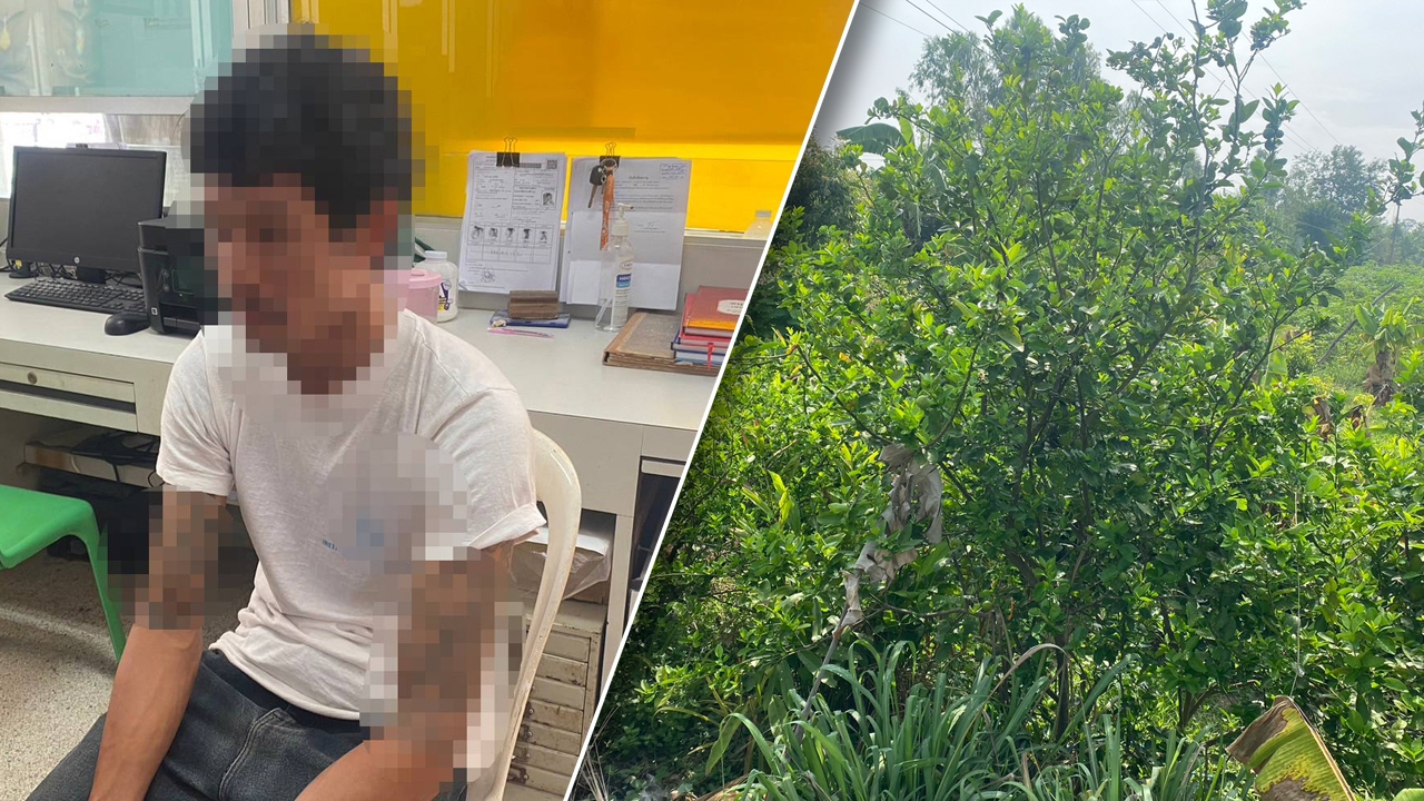 หนุ่ม 30 เอามือถือทุบหัวป้า 69 เลือดอาบ ปมเดือดขอซื้อมะนาวเห็นเต็มต้นบอกไม่มี