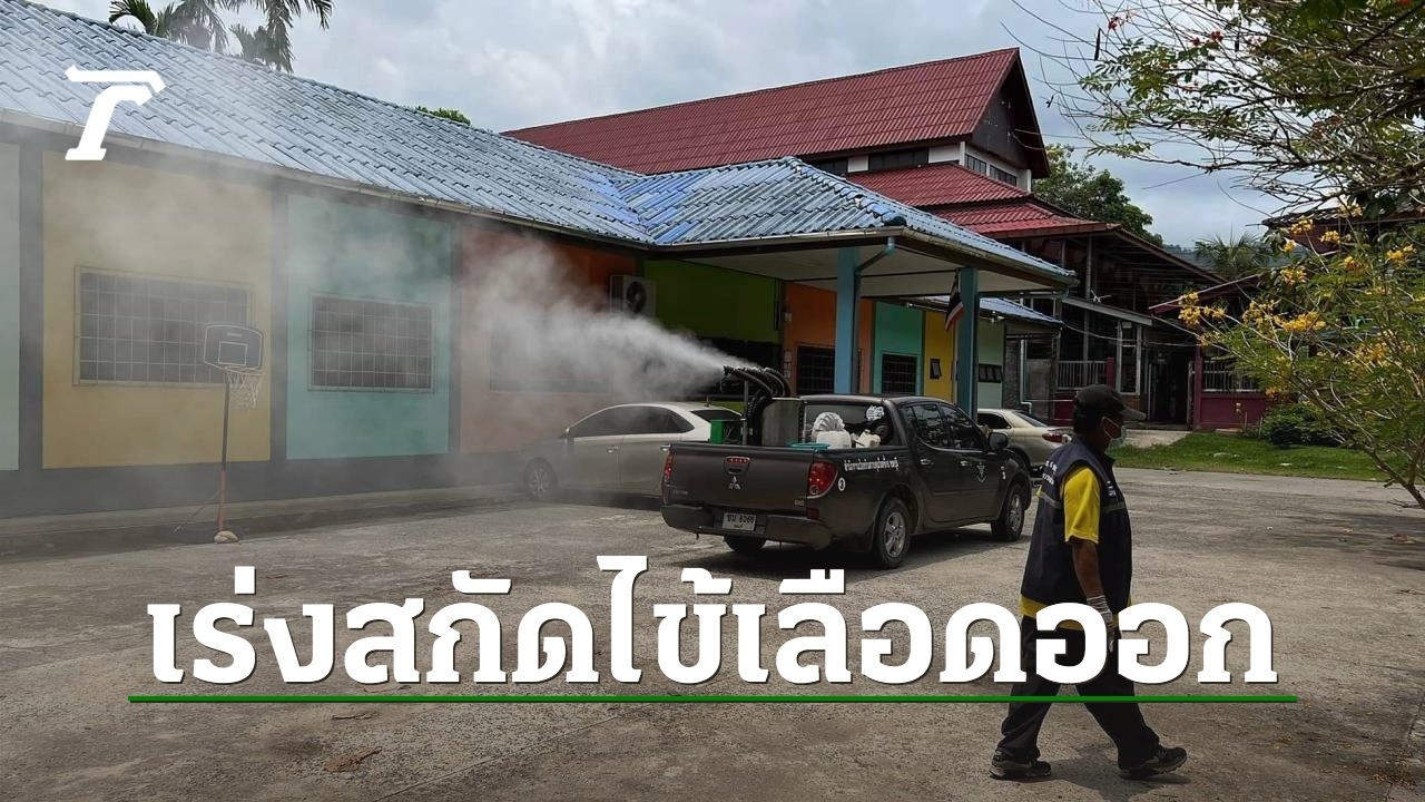 “Dengue Fever Outbreak in Koh Chang: 81 Cases and Rising”