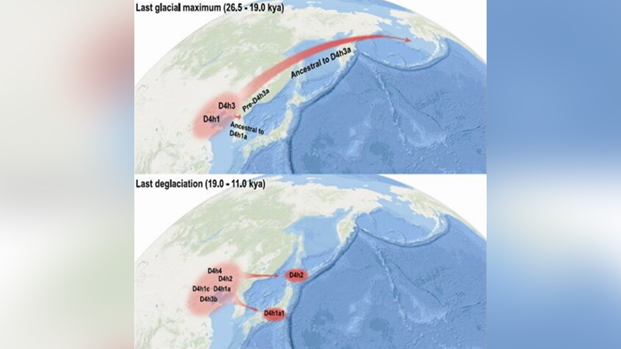 ทีมนักวิจัยจากสภาวิทยาศาสตร์จีน เผยการอพยพของมนุษย์ จากเอเชียไปยังอเมริกา