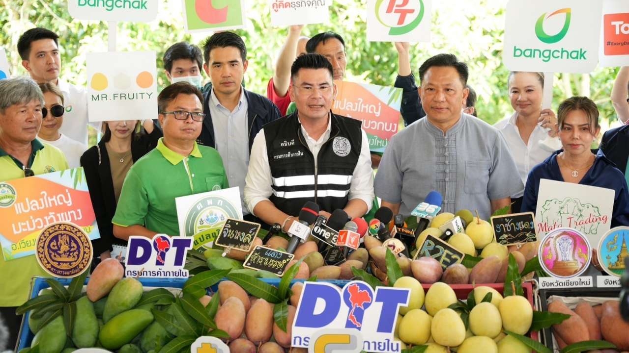 พาณิชย์ ใช้ "อมก๋อย โมเดล" นำผู้ประกอบการซื้อมะม่วงแฟนซี มั่นใจราคาดี