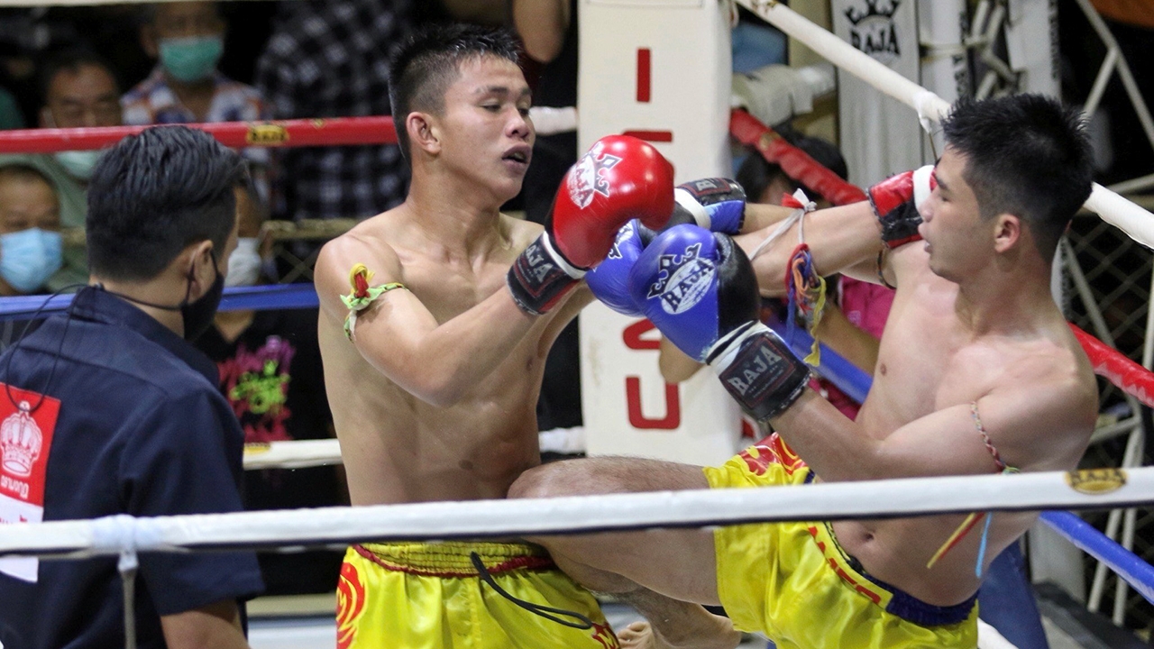 Live Muay Thai Fights: Lertsila, Yodsuek, Yodmongkol and More on PPTV36, Channel 7 and JKN 18